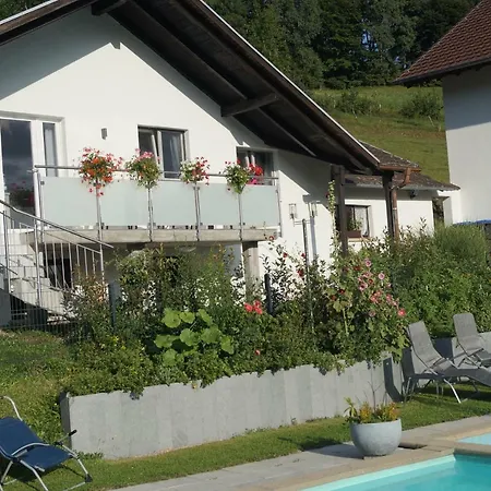 Traumhafte Ferienwohnung Mit Pool Steinen  Exterior photo