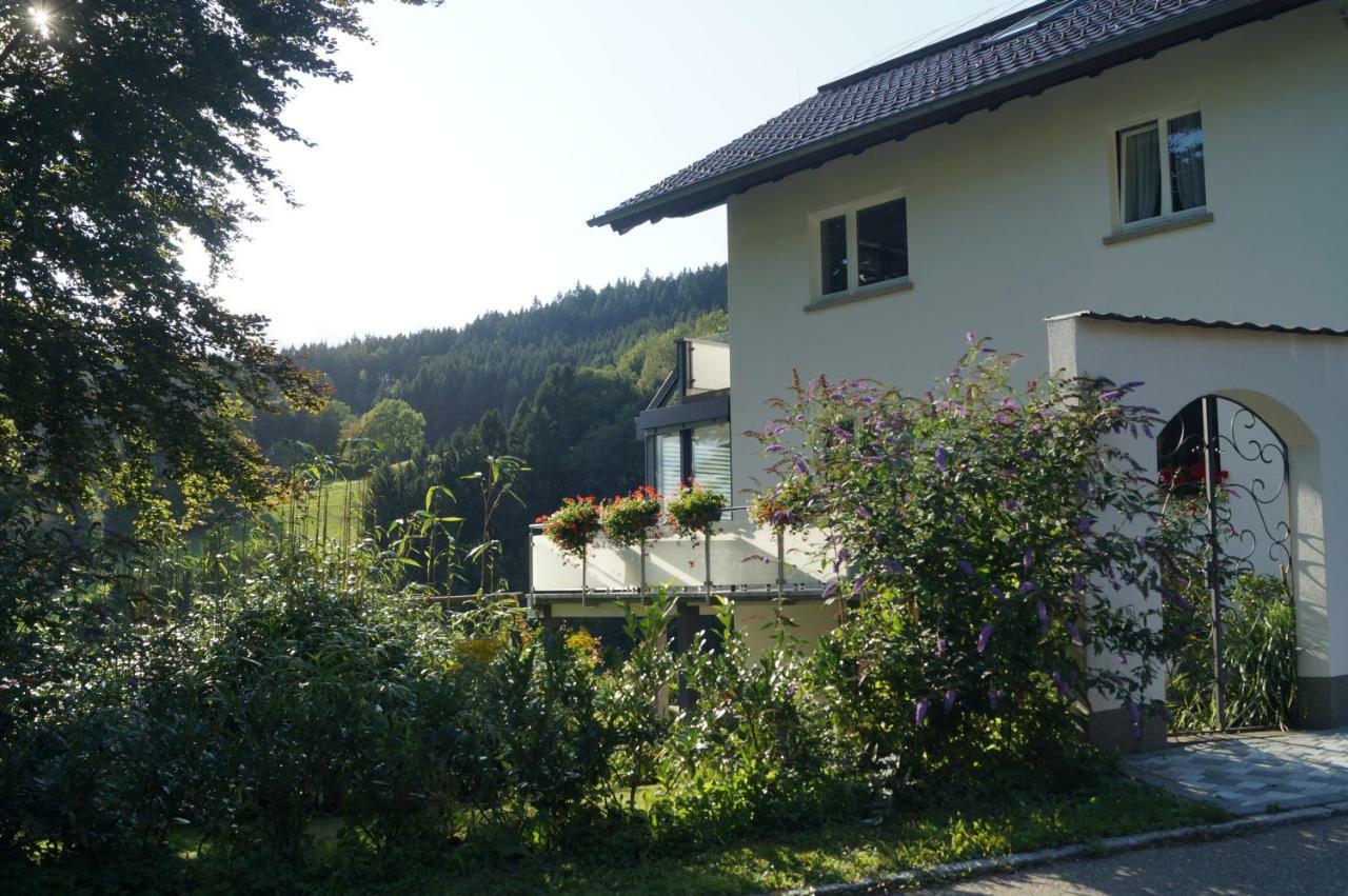 Apartment Traumhafte Mit Pool Steinen (Lorrach)